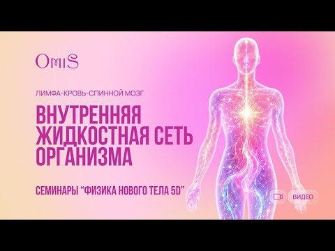 ✨ PHYSICS OF THE NEW BODY: HOW THE BODY LEARNS TO LIVE IN NEW ENERGIES