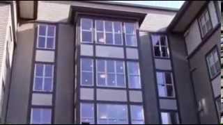 Savier Street Flats