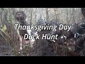 Thanksgiving day hunt   wood ducks everywhere