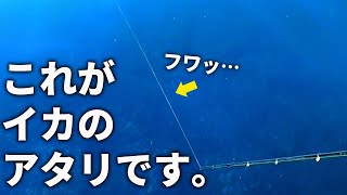 緩むアタリ、引っ張るアタリ。超分かりやすいエギングの「イカのアタリ」解説。