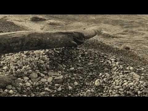 Lost Island by Mike Martini Tiki lounge music from the album "Escape to Planet Chill"