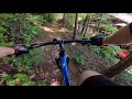 Blue Ridge Mountain Downhill - Trek Marlin 8