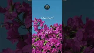 surah nisa ayat 26-28