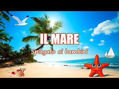 Video: Quando il mare erode la terra?