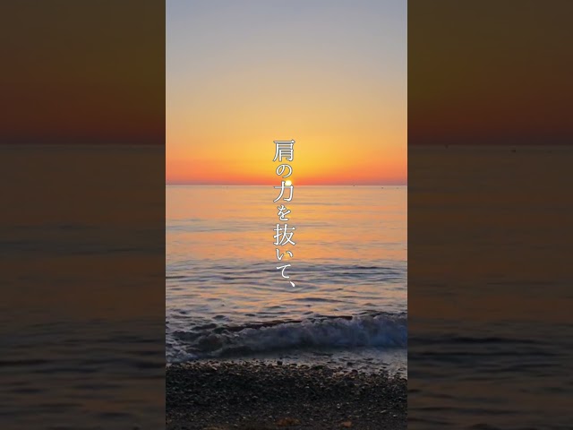 おごらず、人と比べず、面白がって平気に生きなさい。NEW!樹木希林