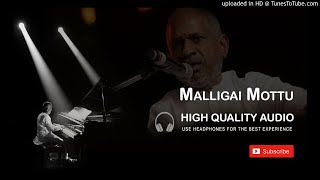 Malligai Mottu High Quality Audio Song | Ilayaraja