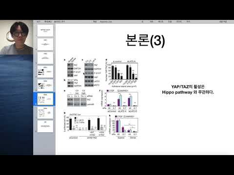 Video: YAP1: Llä On Avainasemassa Normaalien Fibroblastien Muuttuminen Syöpään Liittyviksi Fibroblasteiksi, Jotka Edistävät Eturauhassyövän Etenemistä