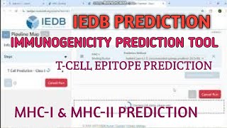 Iedb Prediction Tool Ll Mhc-Iii Epitope Prediction Ll Xgene And Proteinx