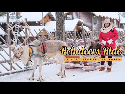 ဖင်လန် နိုင်ငံ Lapland မှာ Reindeer စွပ်ဖားလှည်းစီးခဲ့တုန်းက - Reindeers Ride in Lapland