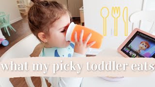 WHAT MY PICKY TODDLER EATS IN A DAY 2021 | BREAKFAST, LUNCH, + DINNER |  EASY TODDLER MEAL IDEAS