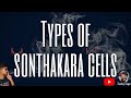 Types of sonthakara cells  relative alaparaigal  sandeep iniyan 