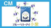 ビジョントレーニング動画編ー瞬間視ー Youtube