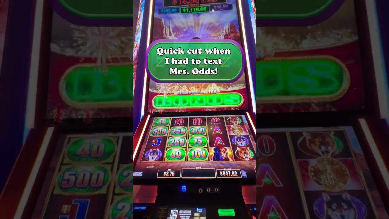 Buffalo Ultimate Stampede slot never fails to show us a TON of fun!