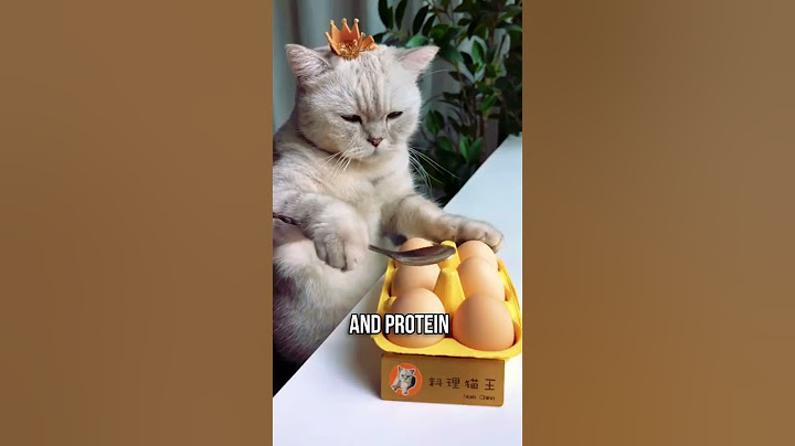 🥦Top 4 Human Foods for a Healthier Cat 🐱🥔