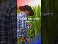 Deputy Kartchner Searches for Illegal Immigrants in Cornfield at US-Mexico Border
