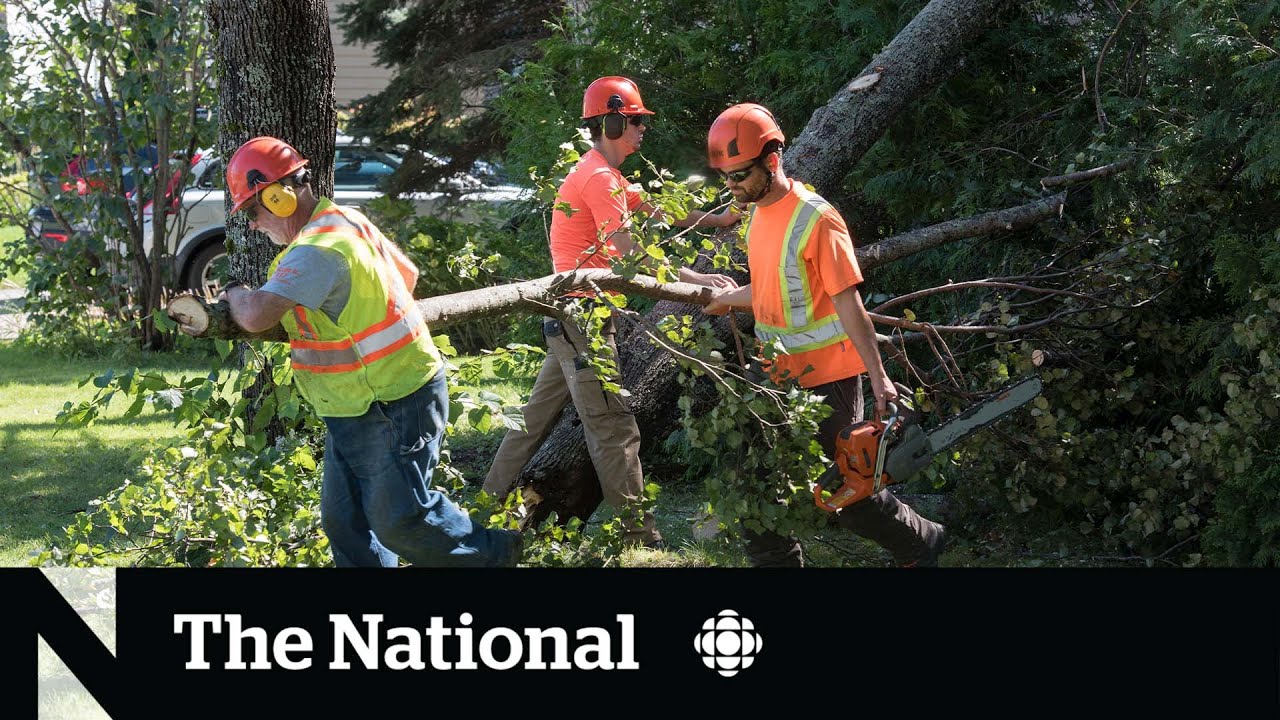 Post-tropical storm Lee downs trees and knocks out power in the Maritimes