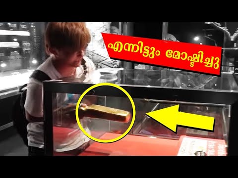 ഇവരുടെ ബുദ്ധി വിമാനമാണല്ലോ? Intelligent People on Earth