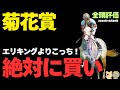 【菊花賞2025】エリキングに不安あり！新時代のステイヤー候補は誰だ？【競馬予想】