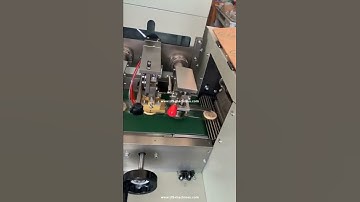 Automatic lemon slice one piece flow type bag packaging machine one bag packing video