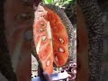 Amazing #red jackfruit #cutting #jackfruit #satisfying #shots