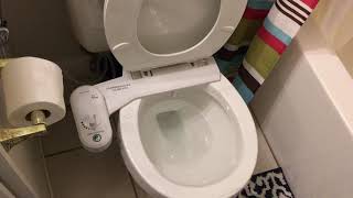IMG 3401