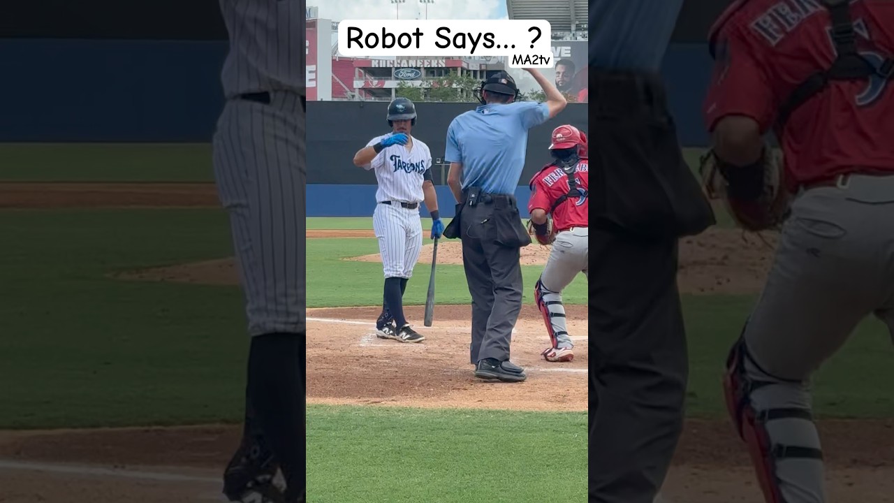 Robot Says?   Blue punches em out, the hitter challenges. 