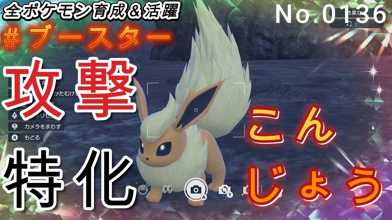 ブースター育成論SV決定版！唯一王の汚名返上と勝てる調整術