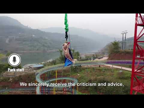 Chongqing Park Roasted Over Bungee-Jumping Pig Stunt