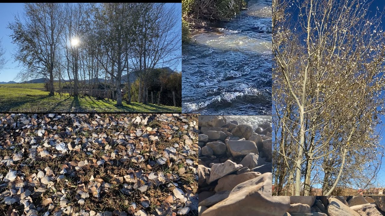 حكاية نهر لا تنتهي 💧🌴