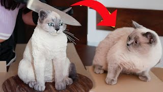 Cat Reaction on Cutting the Cake that is similar to cat | Funny Cat Reaction by Funny Animals Compilation 18 views 2 years ago 1 minute, 3 seconds