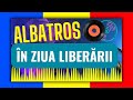 MUZICA ANILOR 90- FORMATIA ALBATROS - IN ZIUA LIBERARII Disc vinil 90 ORIGINAL- Remix - MUZICA 2021