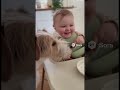 This dog’s reaction to a baby feeding it made me feel …, don’t you feel something?