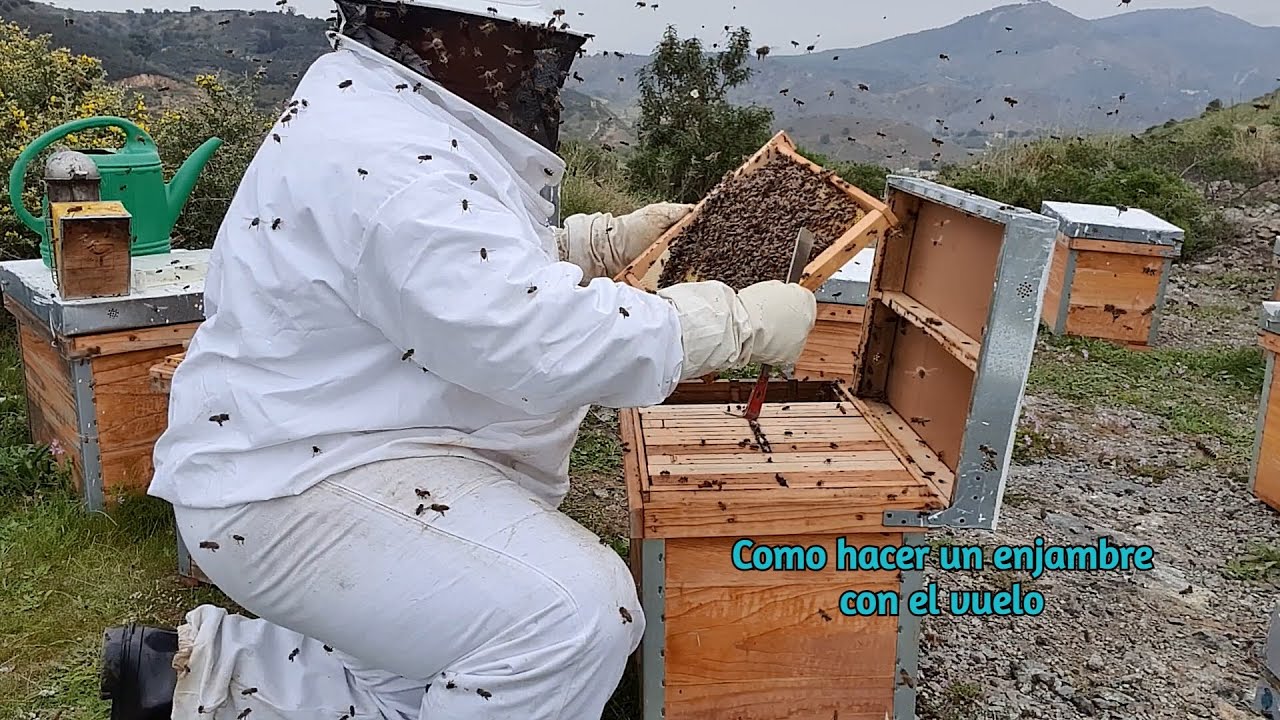 Como Hacer Un Enjambre Con El Vuelo/JOSE GALVEZ/APIGALVEZ