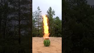 A lot of Sparklers vs Watermelon