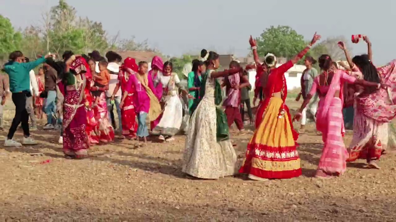 Gujrati aadivasi timali dans song timali 