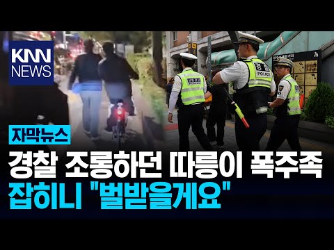 자전거 &amp;#39;따릉이&amp;#39; 타고 인도 위를.../ KNN