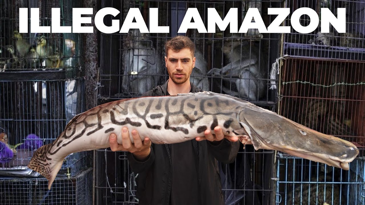 Inside the World's Largest Illegal Exotic Animal Market... (Tour)
