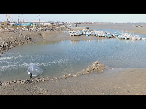 3주연속 꽝치고 <strong>잡은</strong> 이녀석은...괴물처럼 생겼네요_Cast <strong>Net</strong> Fishing