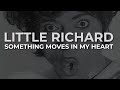 Miniature de la vidéo de la chanson Something Moves In My Heart