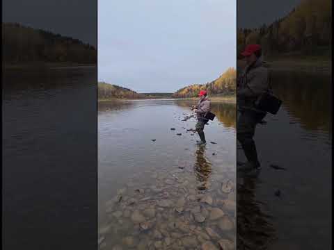 Video: Tuloma River: paglalarawan, pangingisda