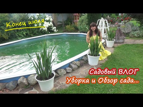 Приехали из отпуска. Чем встретил сад? Веселая уборка в саду и ОБЗОР САДА.