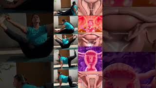 Yoga for pcod pcos fibroid #pcod #pcos #fibroid #fibroid #weightloss #periods #pmos