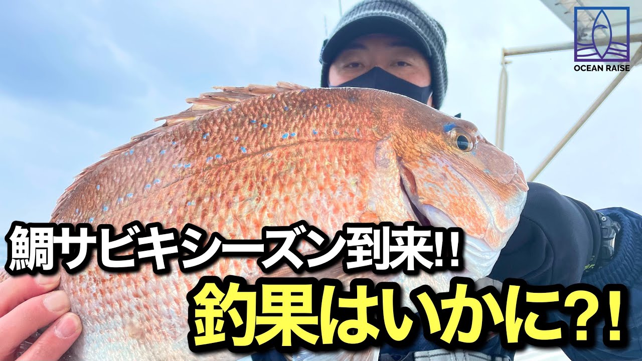 鯛サビキシーズン到来 果たして釣果はいかに 淡路島 釣り船三幸丸 Youtube