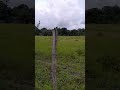 curtindo minha folga parte 3
