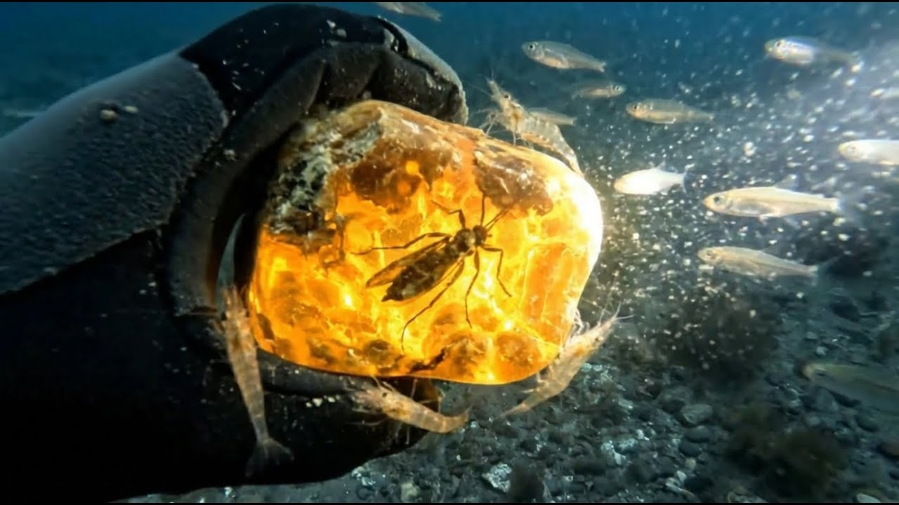 Poszukiwanie Skarbów w Doggerlandzie— Śladami zapomnianego mostu między starożytną Brytanią a Europą