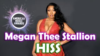 Megan Thee Stallion ✅ | (Biography, Age, Relationships, Outfits ideas, Plus Size Models) HISS