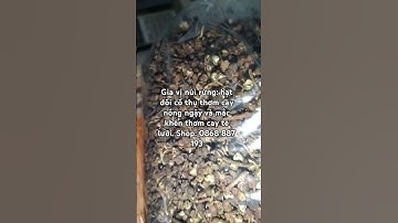 Gia vị núi rừng: hạt dổi cổ thụ thơm cay nồng ngậy và mắc khén thơm cay tê lưỡi. Shop: 0868 887 193