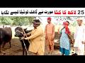 Noor Nazeer Wada Number Daar  Qurbani Ka kata New Funny Video | Comedy Funny Video | You Tv Hd 2026