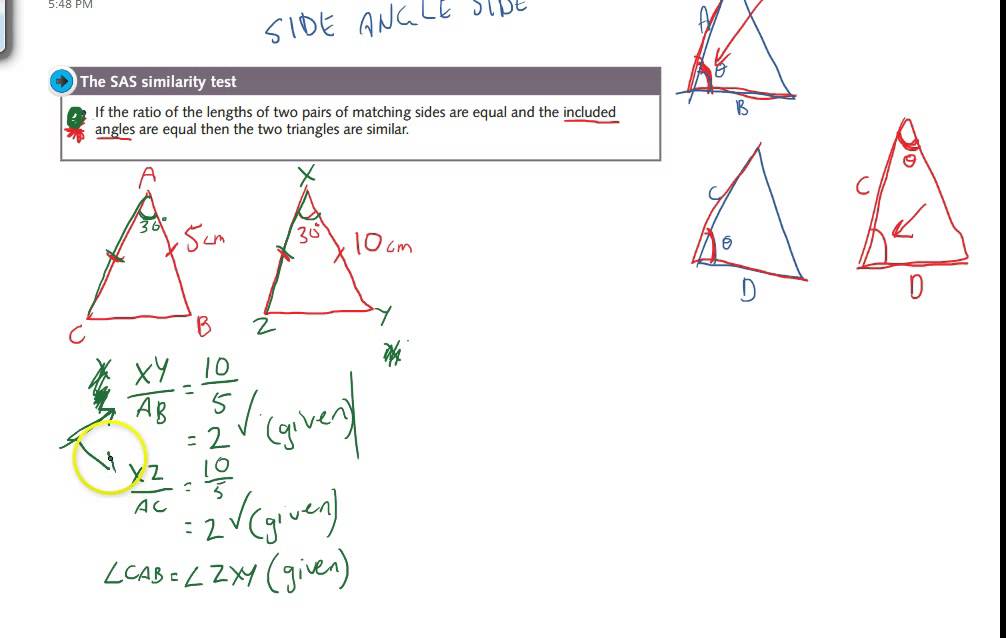 similarity test essay