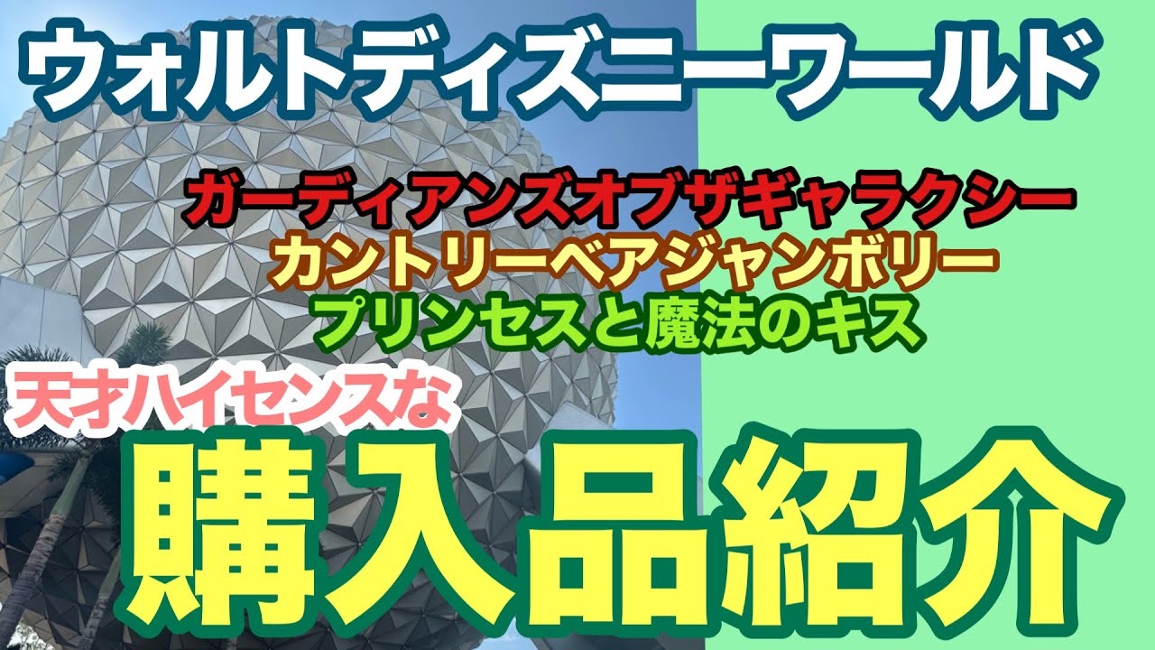 【購入品紹介】ウォルトディズニーワールドで爆買い！！ガーディアンズオブザギャラクシー、プリンセスと魔法のキス、カントリーベア、天才はちは何を買ったのか